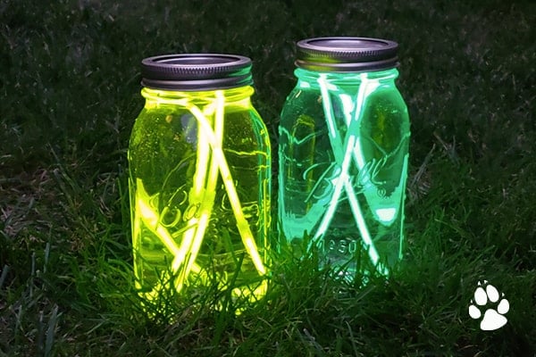 diy camping themed camp fire lantern