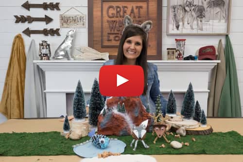 Make Pinecone Crafts and Critters with Lynn Lilly!