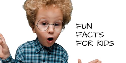 funny facts about boys