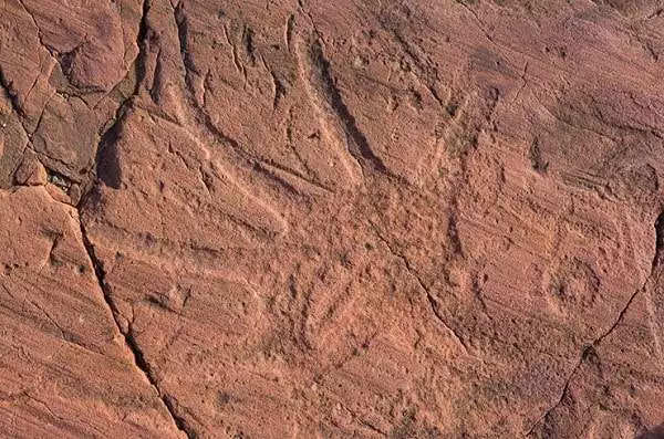 sacred rock carvings in Jeffers Petroglyphs