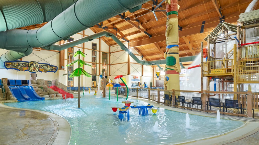 Overview of Traverse-City cub paw pool