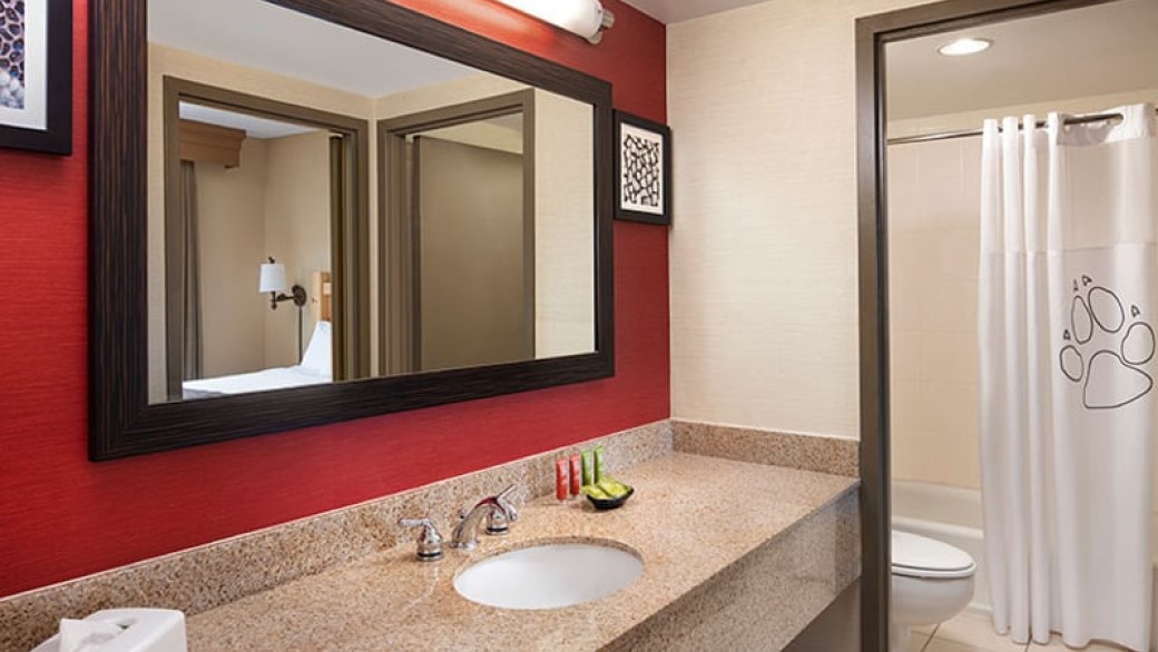 Suite Bathroom