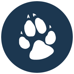 Great wolf paw illustration