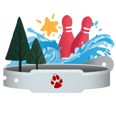 icon with paw logo, showing trees, a star and bowling pins with a wave behind 