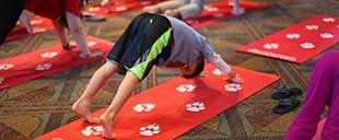 Children take part in a yoga class