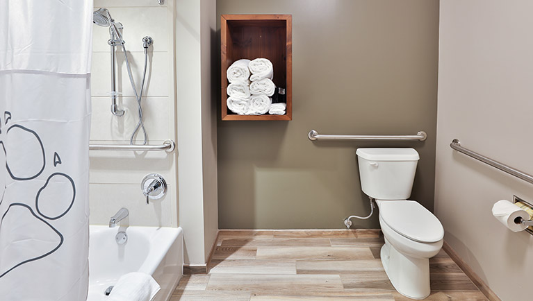 The bathroom in the accessible Deluxe KidCabin Suite