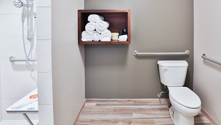 The accessible shower in the Wolf Den Suite