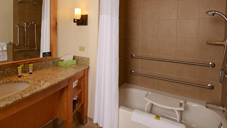 The Accessible Bathroom of the Gray Wolf Suite