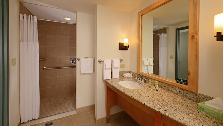 The bathroom in the Accessible Shower Family Suite