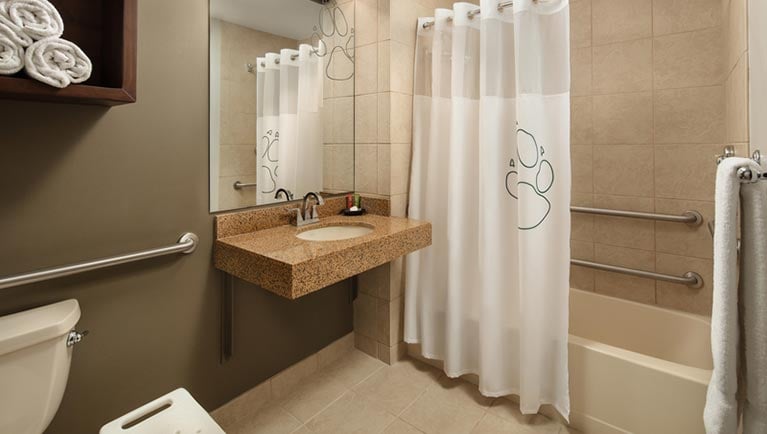 The bathroom in the Accessible Bathtub Wolf Den Suite