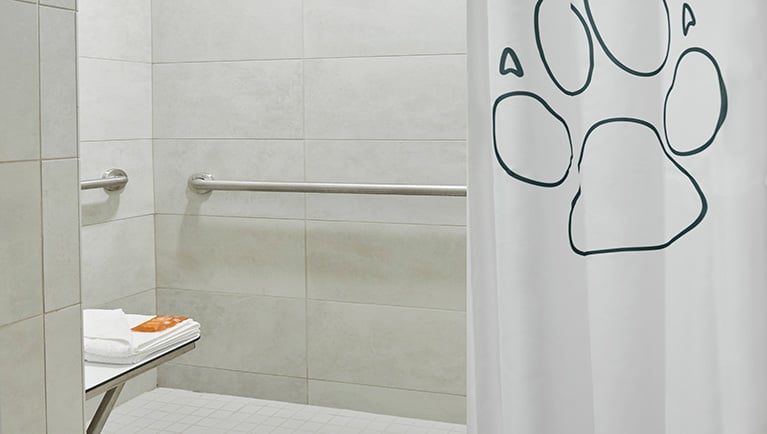 The shower in the Accessible Bathroom of the KidCabin Suite