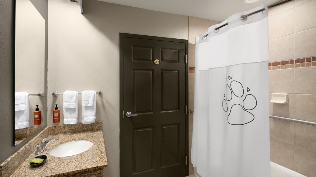 The Vanity Area in Royal Bear Suite Accessible Bathtub