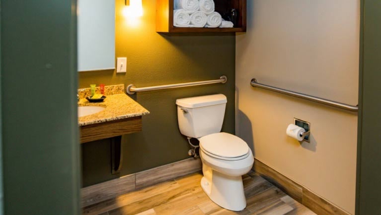 The Accessible Bathtub Junior Cabin Suite