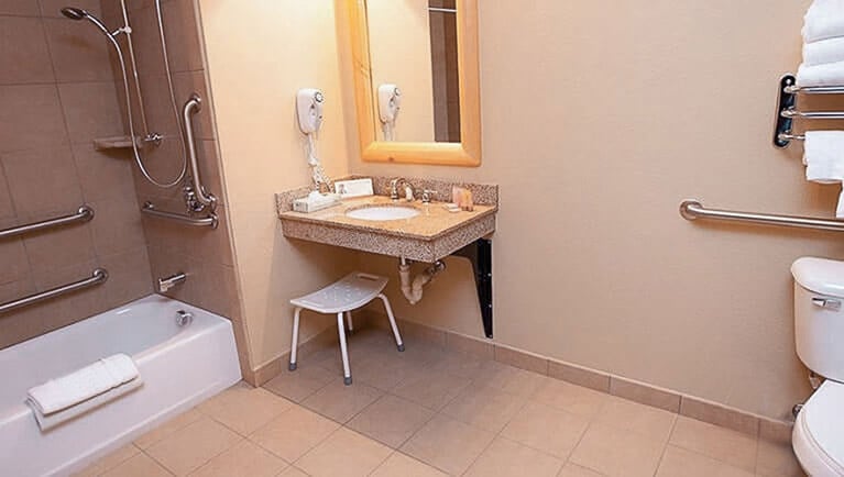 The bathroom in the Accessible Shower Wolf Pup Den Suite