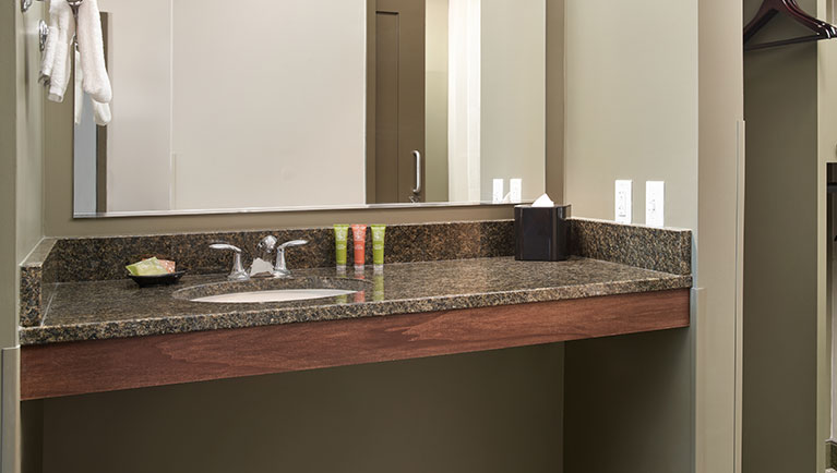 The sink area in the Accessible Bathtub Deluxe Wolf Den Suite