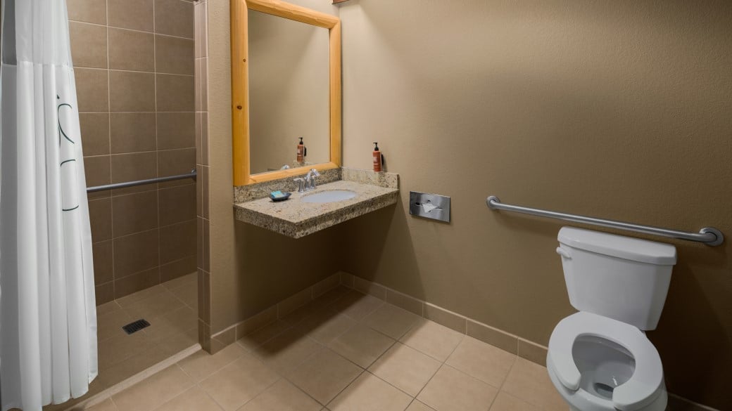 The Accessible Shower in the Great Bear King Suite