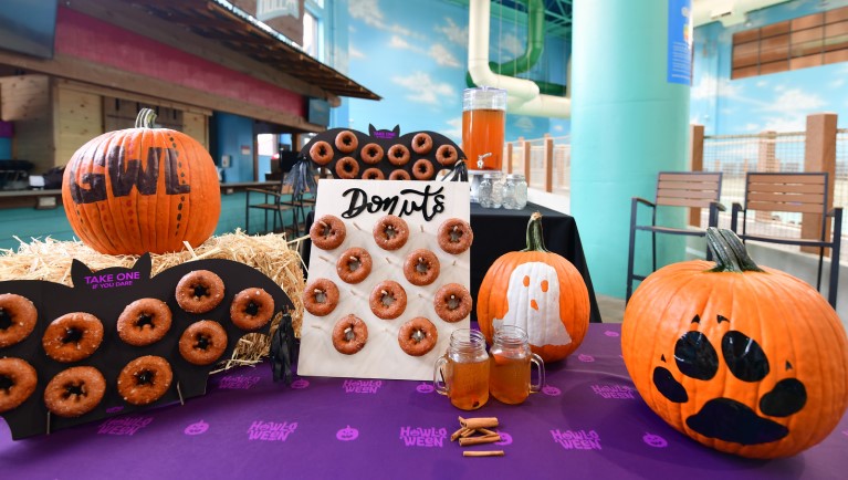 food at the pumpkin pool bash