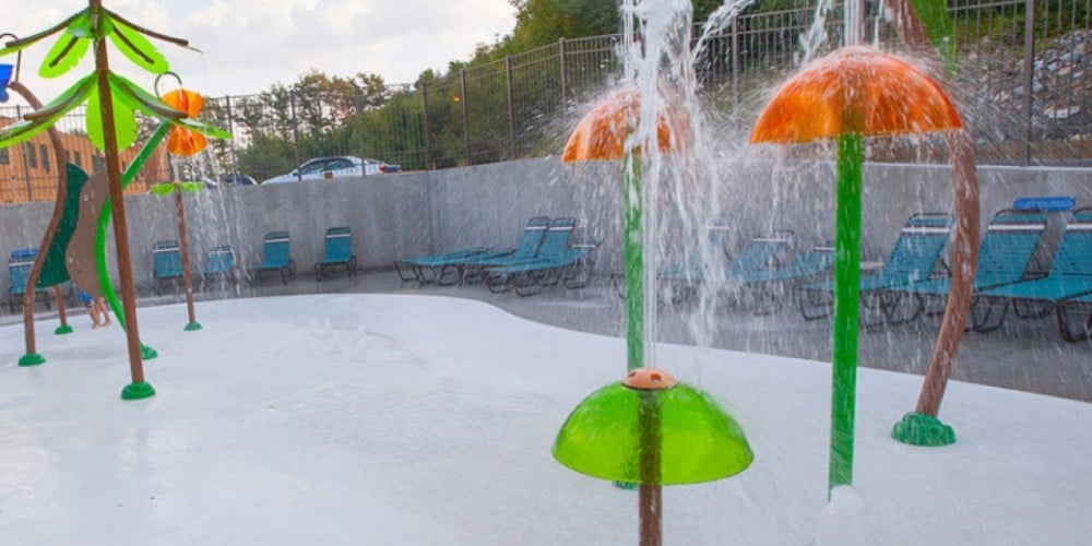 A view of the outdoor area in Tadpole Pond